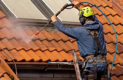 Démoussage et hydrofuge de toiture à Faurie